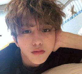 蔡徐坤白鹿八卦爆料视频,八卦视频揭秘明星幕后故事